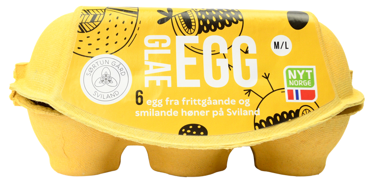 6 Glade Egg Fra Smilande Høner Fra Sviland
