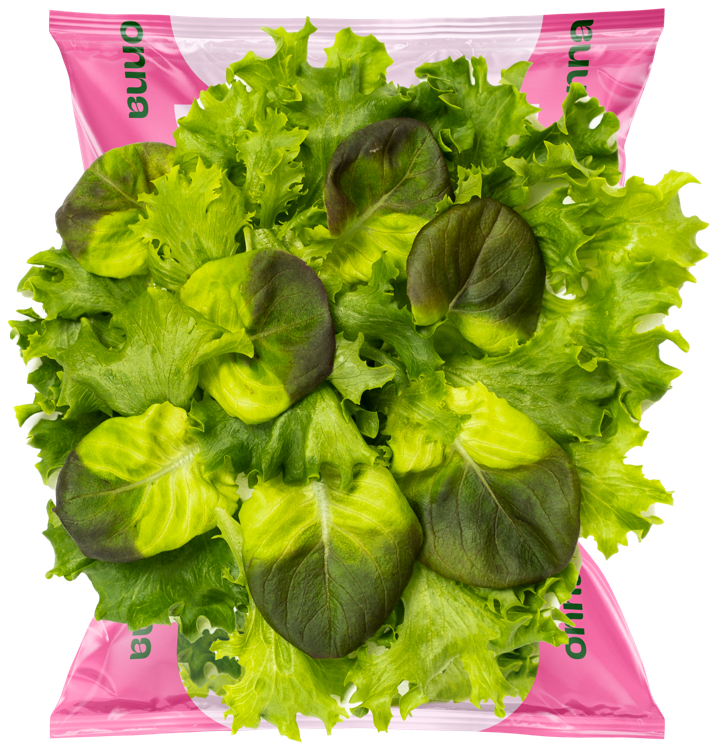 Hey Baby Salatmix 75g Spiseklar Fersk Salat Onna