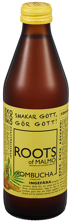 Bilde av Roots Of Malmö, Økologisk Kombucha Ingefær