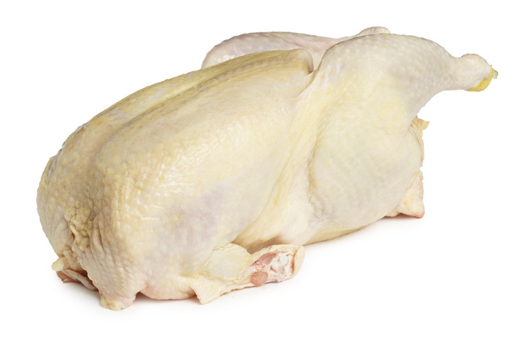 Kylling Økologisk Hovelsrud 6-pakk